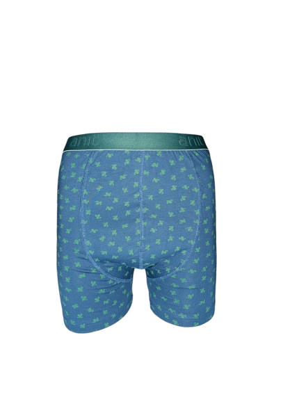 Boxer με σχέδιο